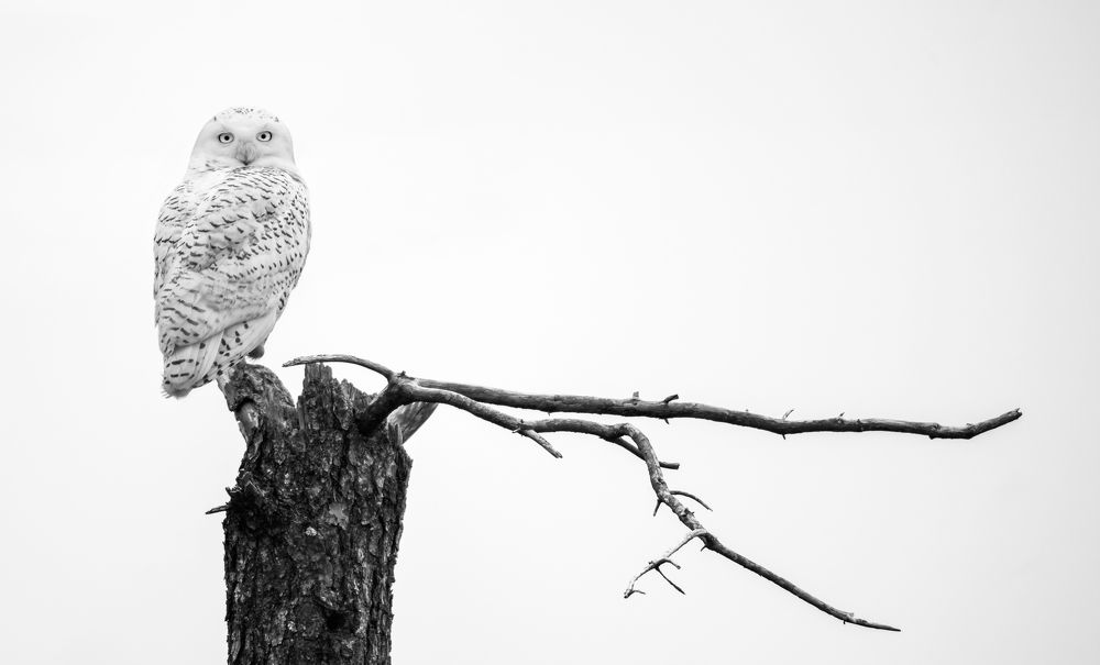 Photograph by  HITTHEROAD