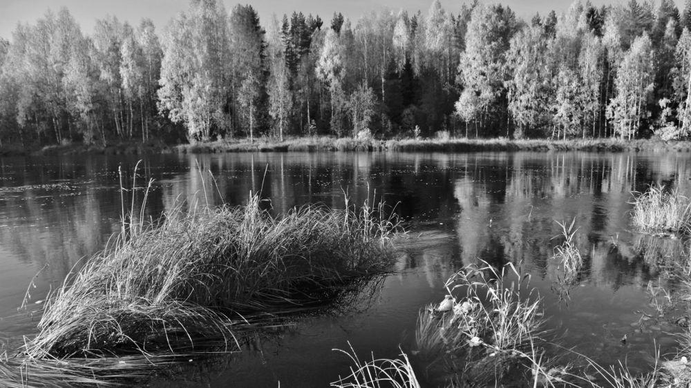 Осенняя тишина.