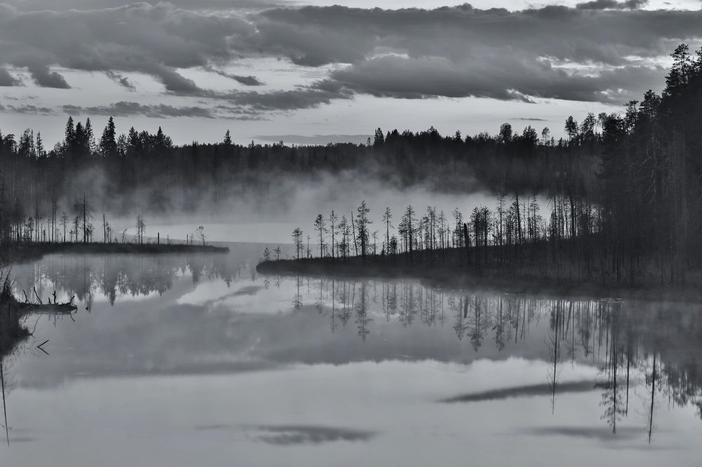 Белая ночь.