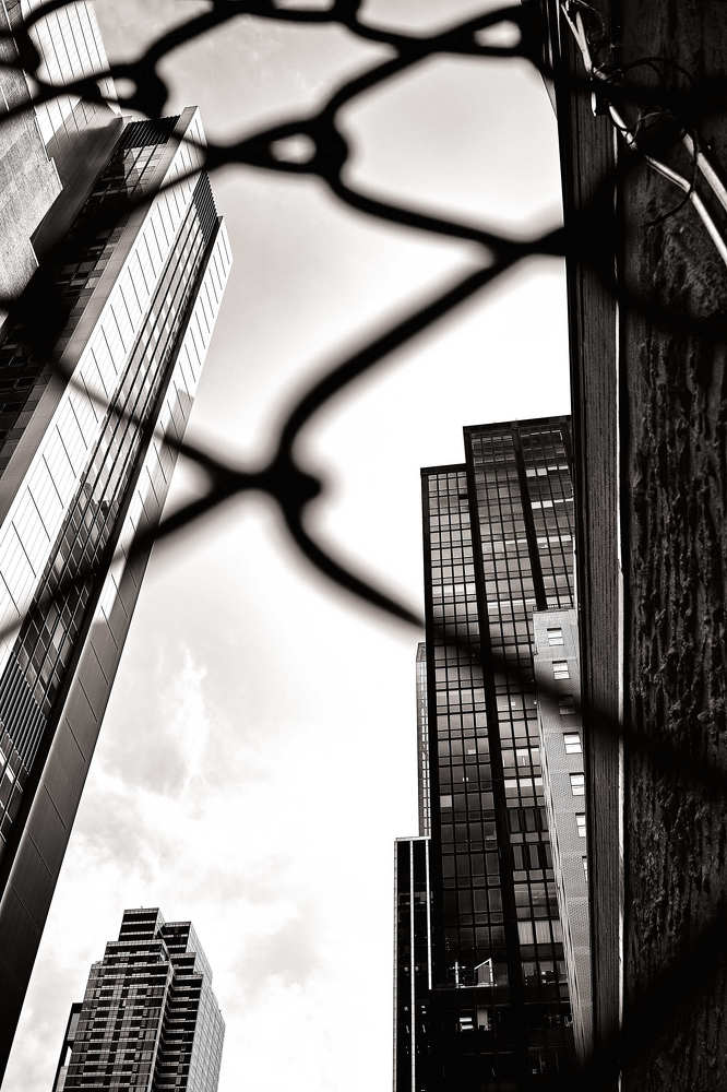 Фотография автора Yulia Dobrynina