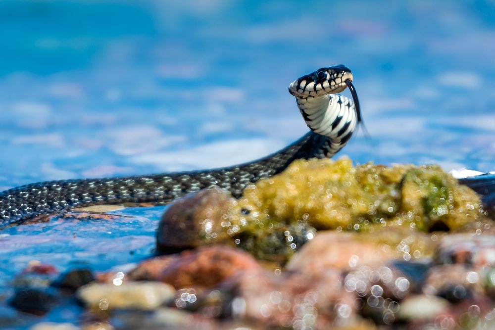 Photograph by Александр Абросимов