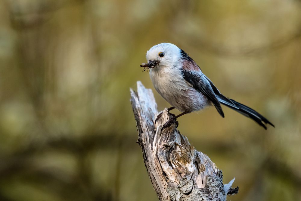 Photograph by Александр Абросимов