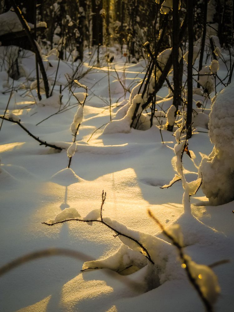Photograph by Виктор Сёмушкин