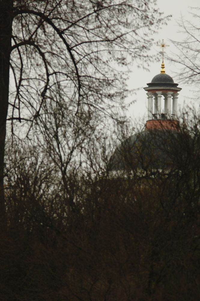 Photograph by Владимир Ясюкевич