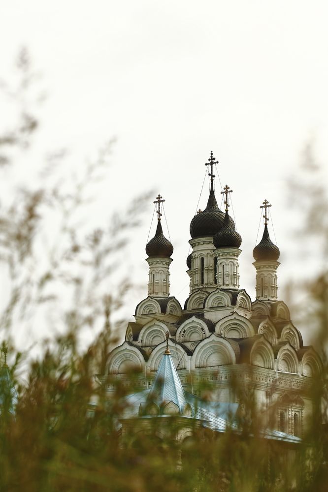 Photograph by Владимир Ясюкевич