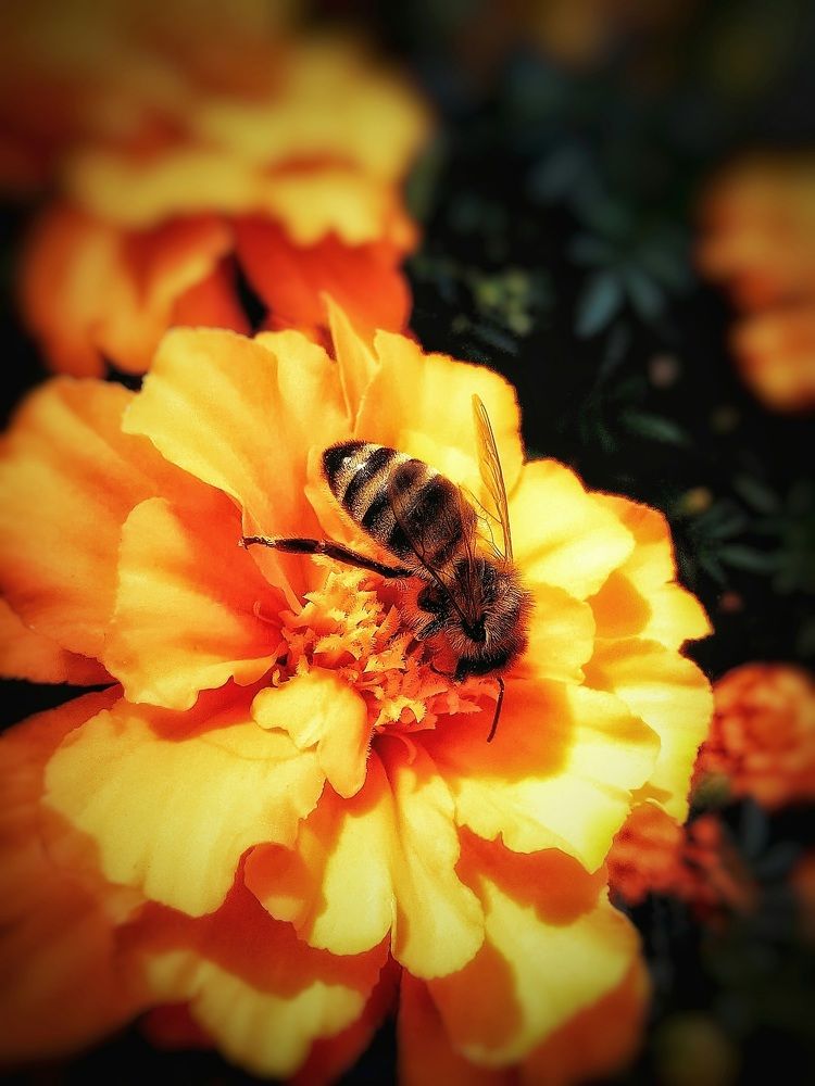 Photograph by Екатерина Цыбулькина