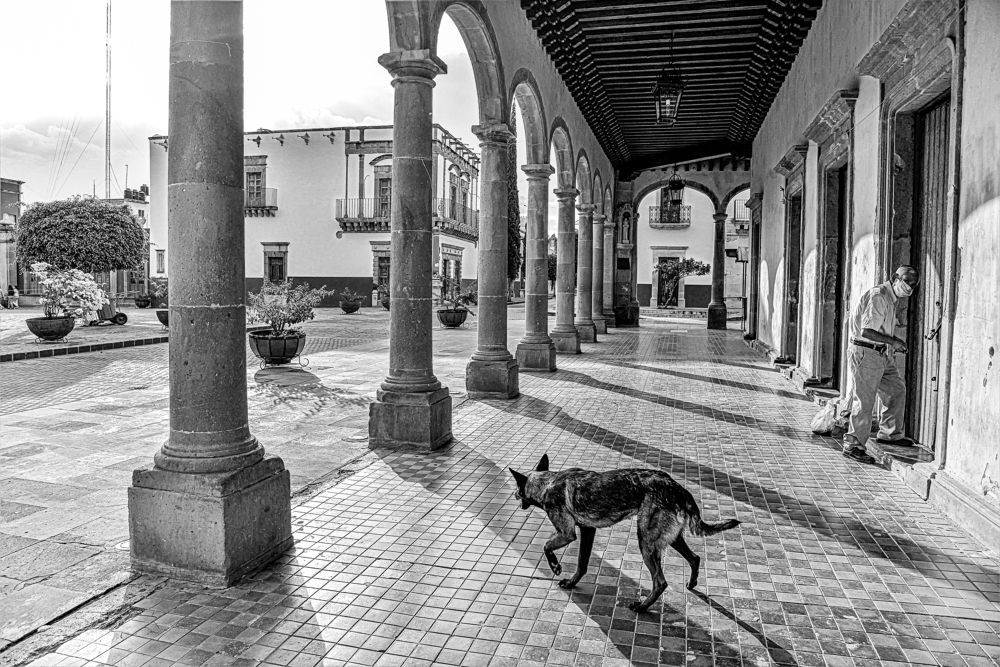 Photograph by Mosqueda Ruben