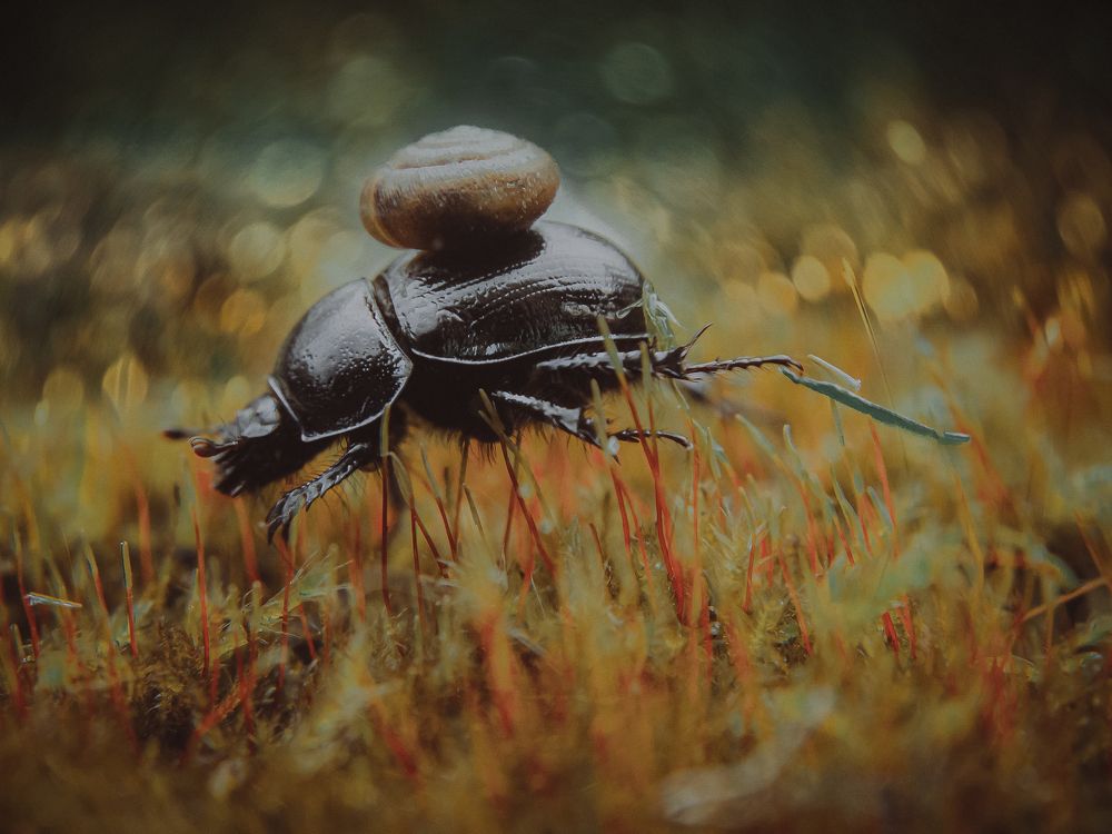 Photograph by Ekaterina Fadeeva