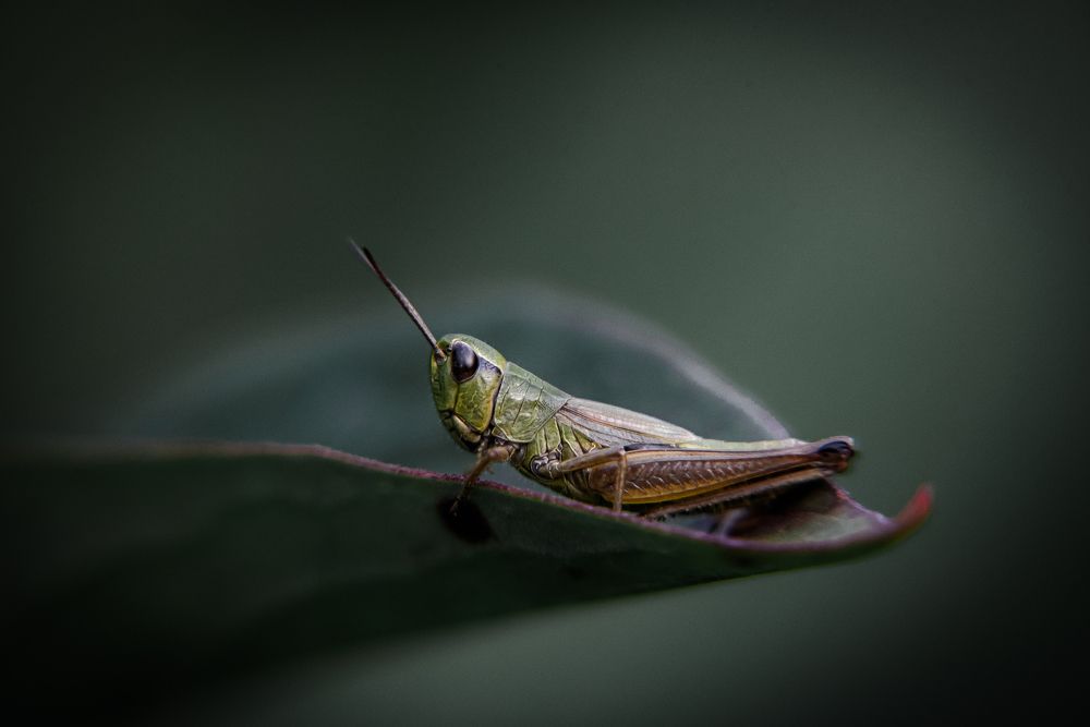 Photograph by Ekaterina Fadeeva