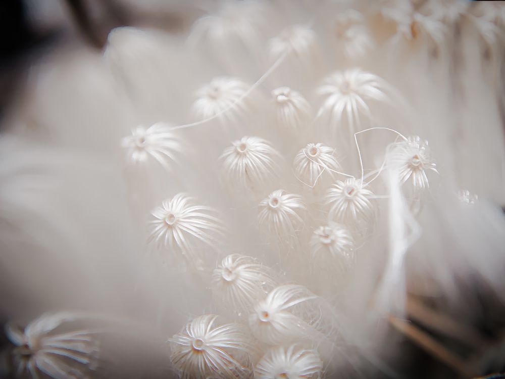 Photograph by Ekaterina Fadeeva