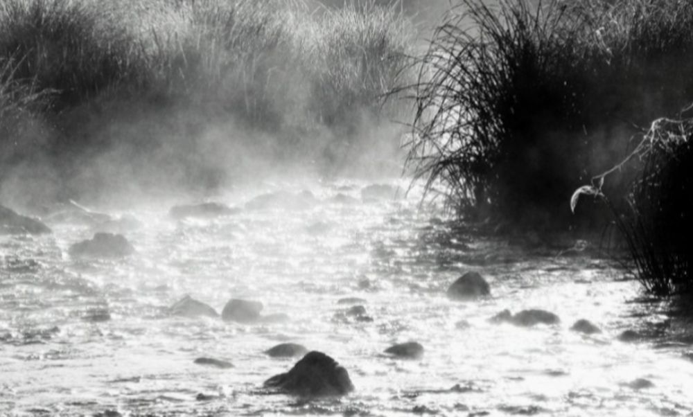 Photograph by Kirsteen Isles