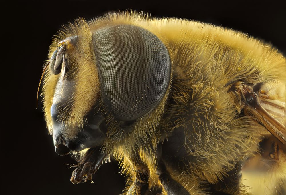 Photograph by Shams Vida