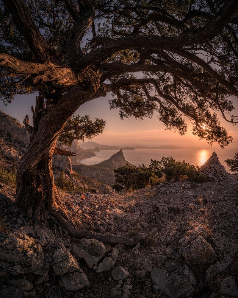 Фотография автора Виктор Иванов