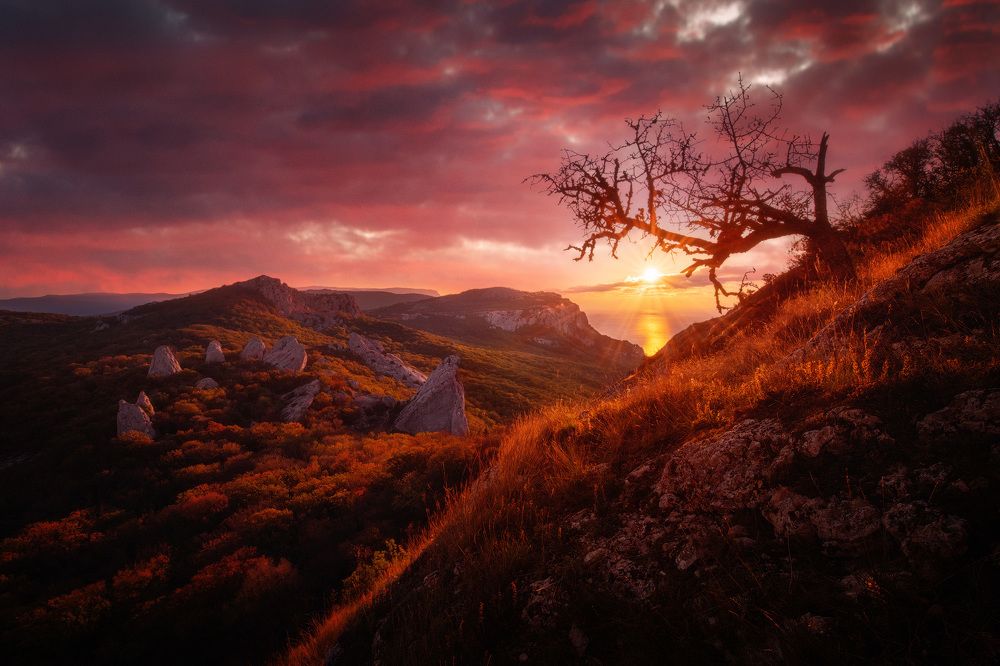 Фотография автора Виктор Иванов