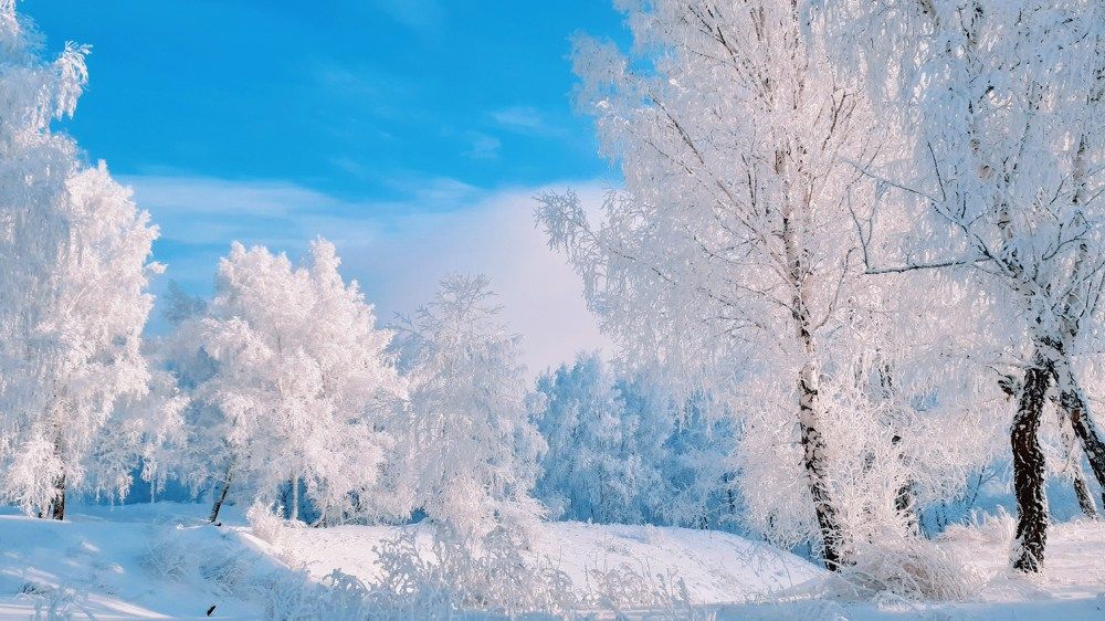 Photograph by Никита Кобец