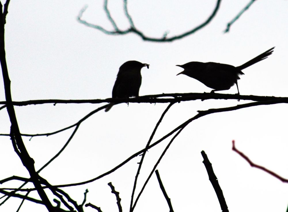 Photograph by Kirsteen Isles