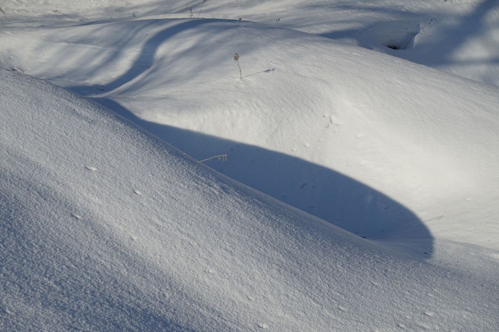 Photograph by Измаил Ефимов