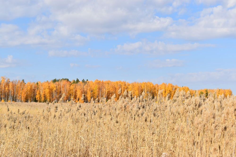 Photograph by Нина