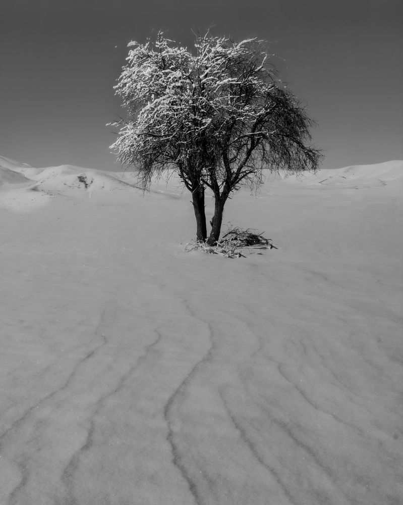 Фотография автора Alipour mohammad