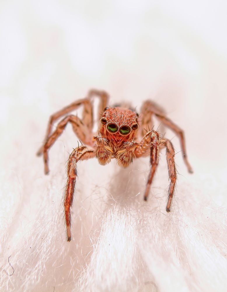 Photograph by Yusuf Buchari