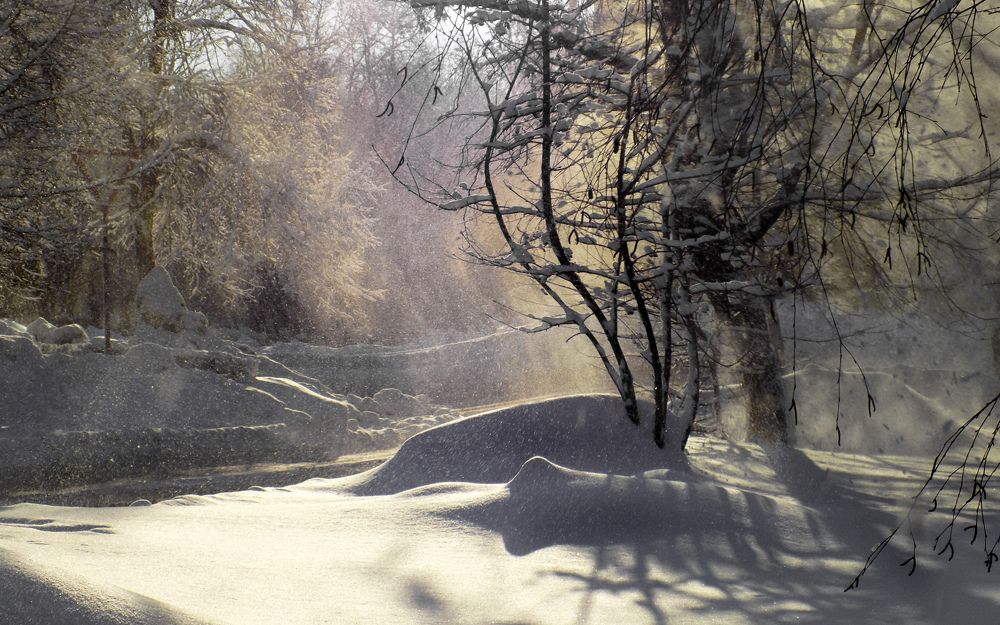 Photograph by Сергей Рудаков