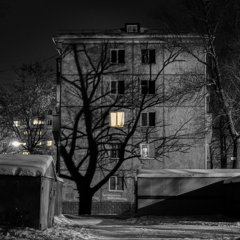 Photograph by Данил Макаренко