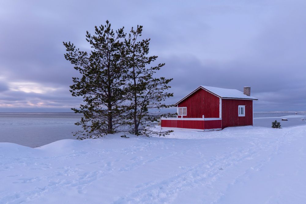 Photograph by Aimo Liuska