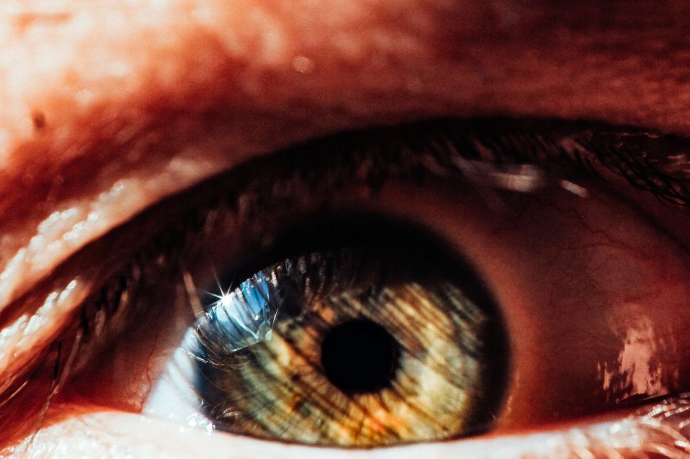 Photograph by Evgeniya Gribova