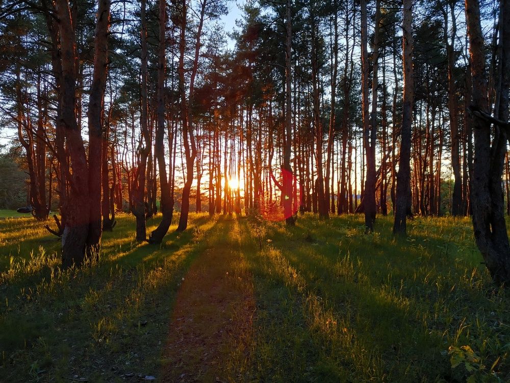 Photograph by Антон Рязанов