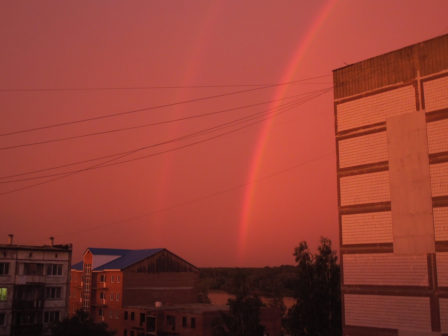 Photo #5617976