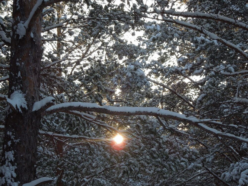 Photograph by Елена Болтенкова