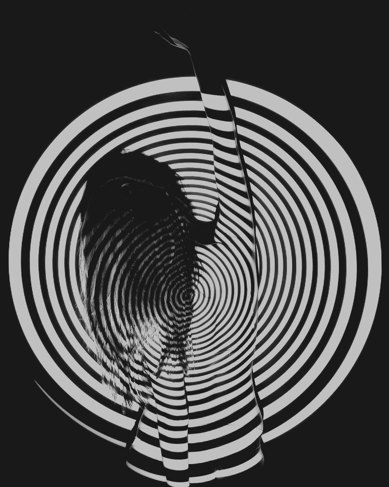 Фотография автора Максим Егоров