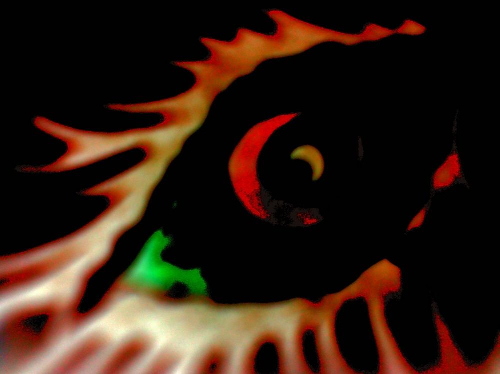 Я за вами наблюдаю, I'm watching you.