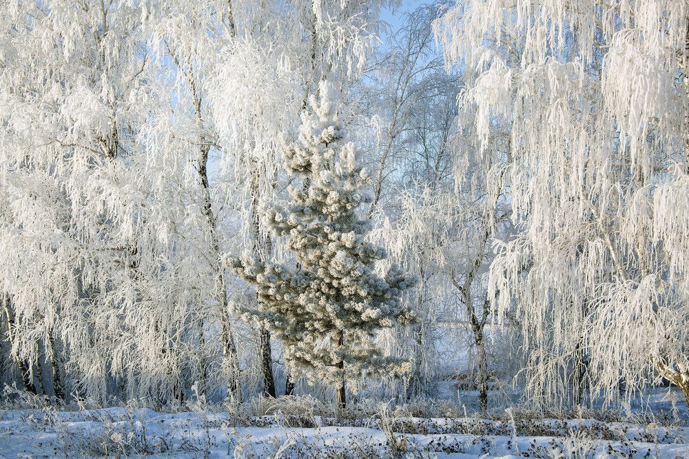 Фотография автора Рамиль Фаттахов