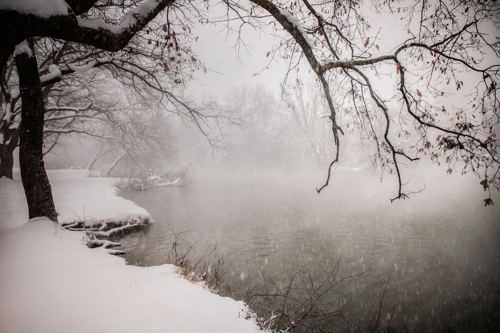 Photograph by EKATERINA WALTER