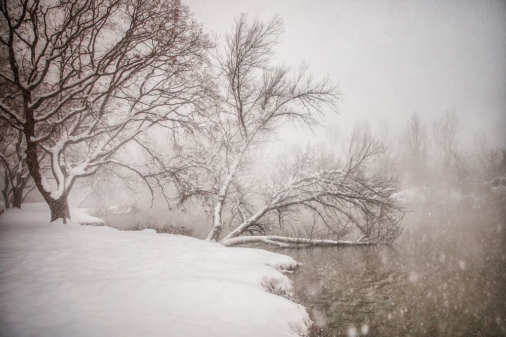 Photograph by EKATERINA WALTER