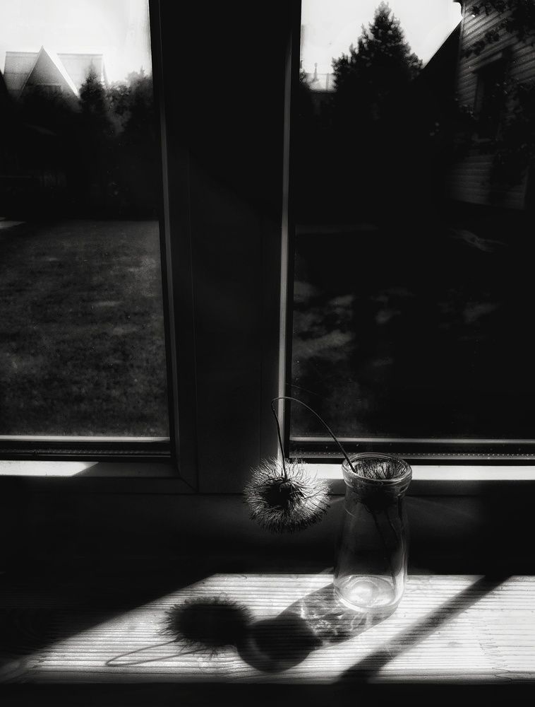 Photograph by Анастасия Кузьмина