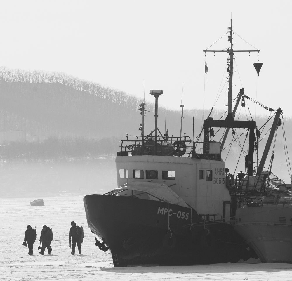 Photograph by Сергей Викторович Прищепа