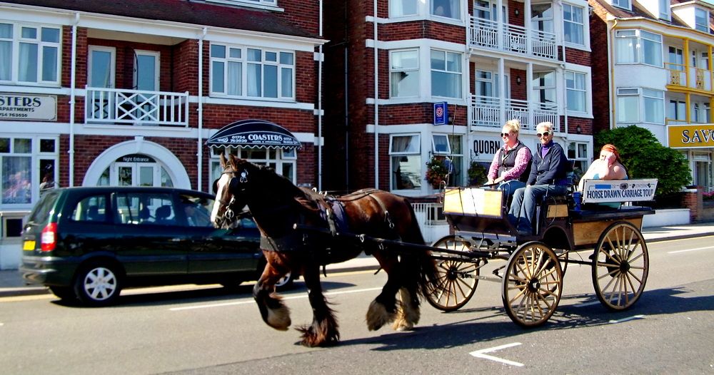 Photograph by Csótai Katalin