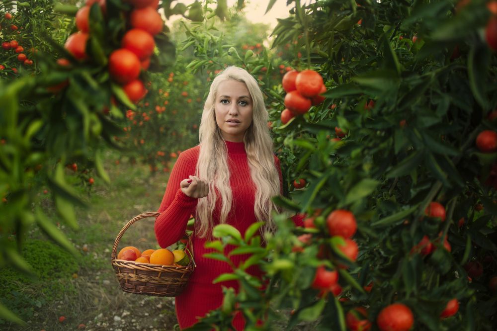 Фотография автора Alona Gryadovaya