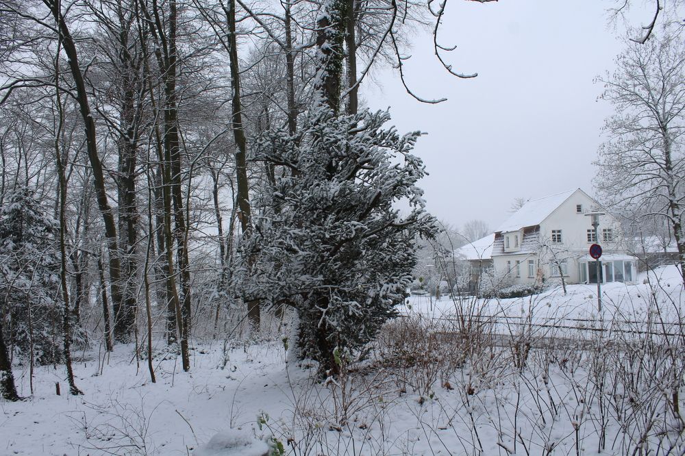 Photograph by Viktor Dikmann