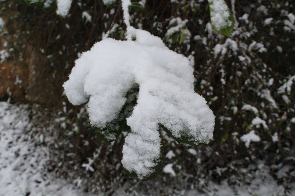 Photograph by Viktor Dikmann