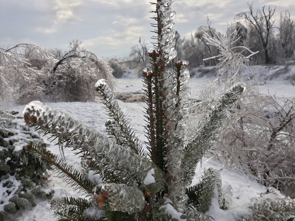 Photograph by Андрей Шахно