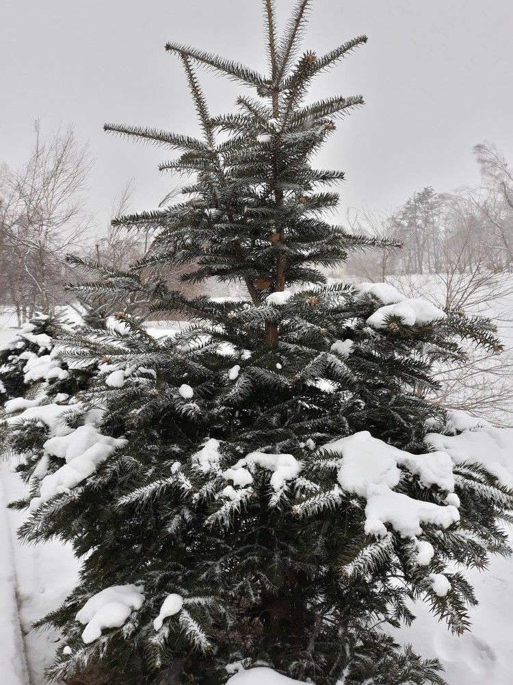 Photograph by Андрей Шахно