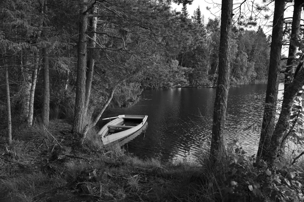 На лесном озере.