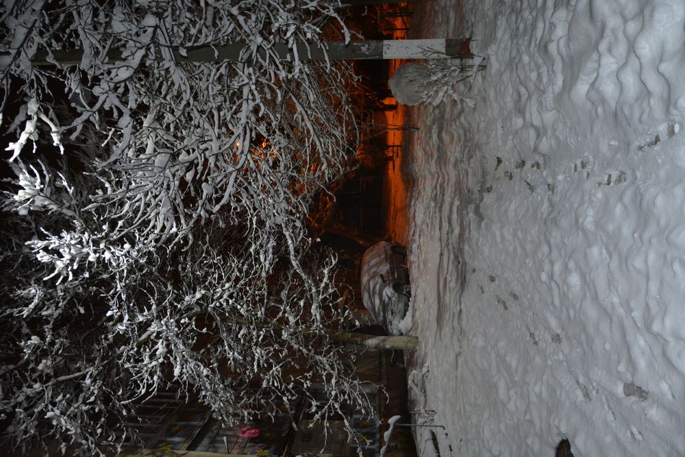 Photograph by Helena Lugowska