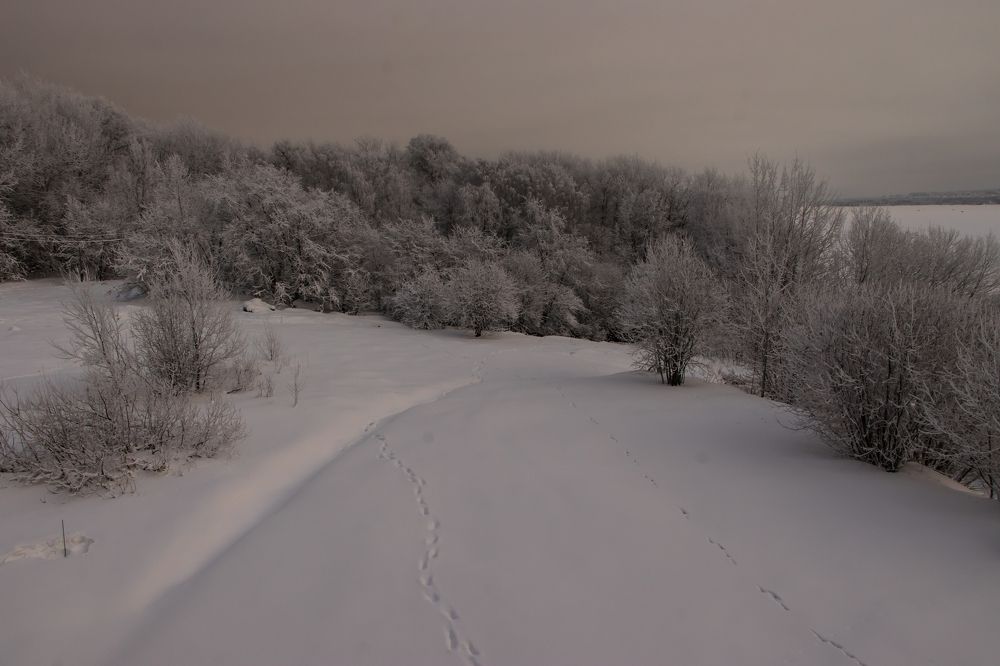 Photograph by Мария Тёмкина