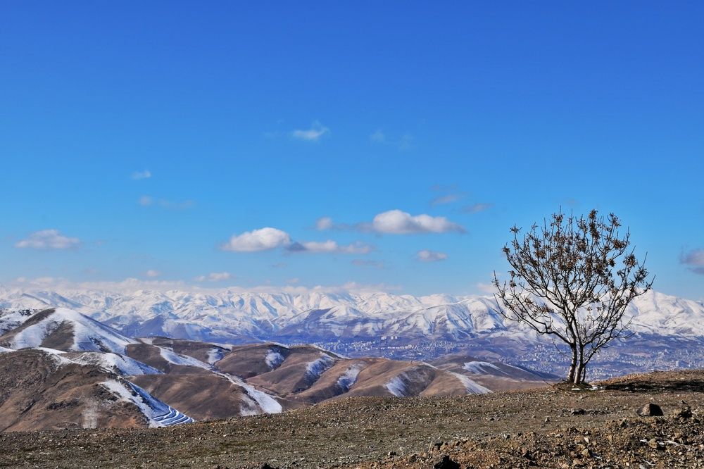 Photograph by SALAHADDIN MAHMOUDI