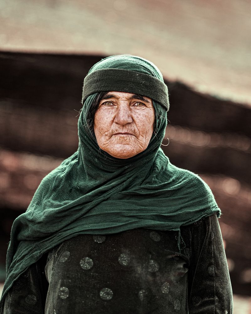 Photograph by  Reza Hazrati