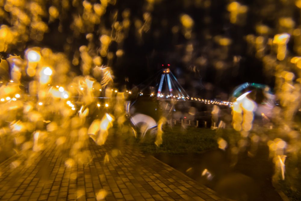 Photograph by Мария Тёмкина